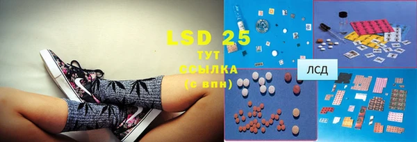 индика Карпинск