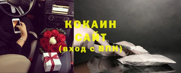 гидра Карталы