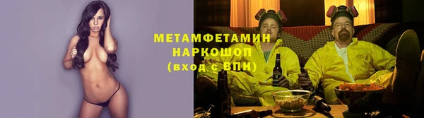 индика Карпинск