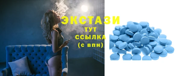индика Карпинск