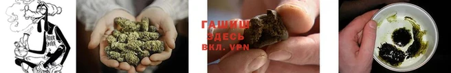 индика Карпинск
