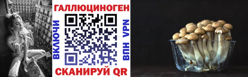 Псилоцибиновые грибы Magic Shrooms  Купить закладки  Омутнинск 